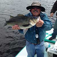 tom and his striped bass